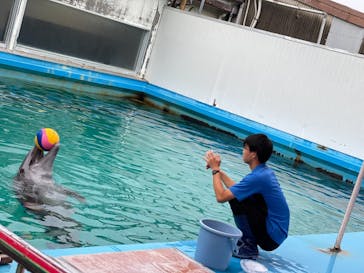 ゼロ距離水族館 伊勢シーパラダイスに投稿された画像（2021/9/22）