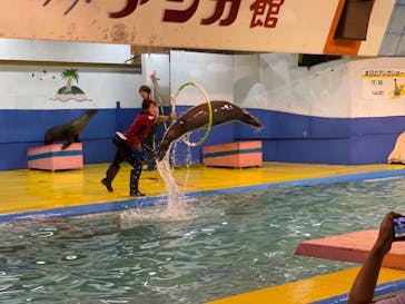 ゼロ距離水族館 伊勢シーパラダイスに投稿された画像（2021/9/22）