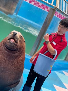 ゼロ距離水族館 伊勢シーパラダイスに投稿された画像（2021/9/22）