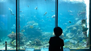 串本海中公園水族館に投稿された画像（2021/9/22）