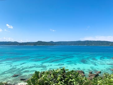 奄美ネイチャーガイドに投稿された画像（2021/9/22）