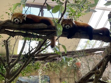 那須どうぶつ王国に投稿された画像（2021/9/22）