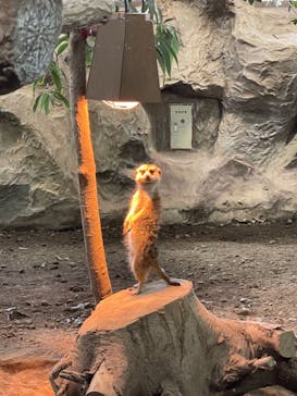 那須どうぶつ王国に投稿された画像（2021/9/22）