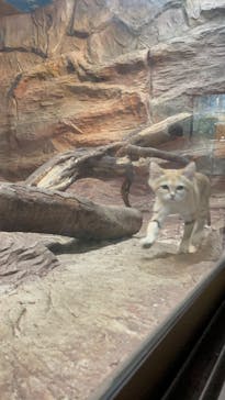 那須どうぶつ王国に投稿された画像（2021/9/22）