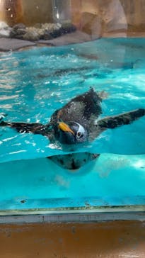 那須どうぶつ王国に投稿された画像（2021/9/22）