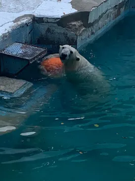 天王寺動物園に投稿された画像（2021/9/22）