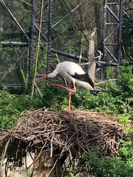 天王寺動物園に投稿された画像（2021/9/22）