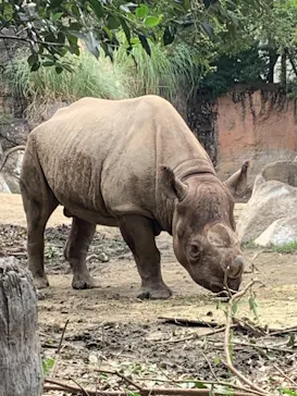 天王寺動物園に投稿された画像（2021/9/22）