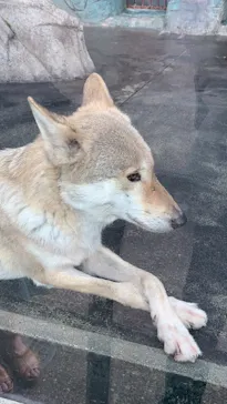 天王寺動物園に投稿された画像（2021/9/22）