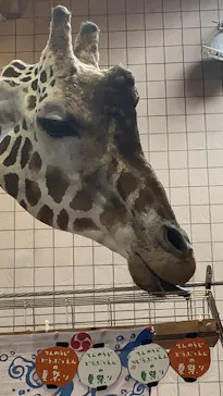 天王寺動物園に投稿された画像（2021/9/22）