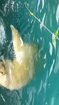 天王寺動物園に投稿された画像（2021/9/22）