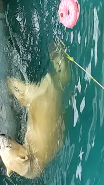 天王寺動物園に投稿された画像（2021/9/22）