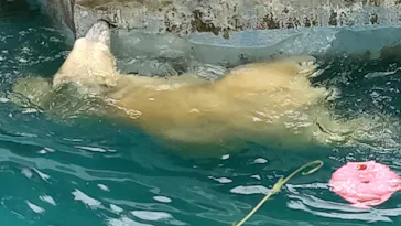 天王寺動物園に投稿された画像（2021/9/22）