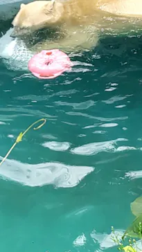 天王寺動物園に投稿された画像（2021/9/22）