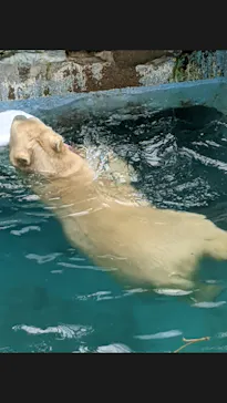 天王寺動物園に投稿された画像（2021/9/22）