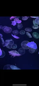 すみだ水族館に投稿された画像（2021/9/23）