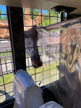 那須サファリパークに投稿された画像（2021/9/23）