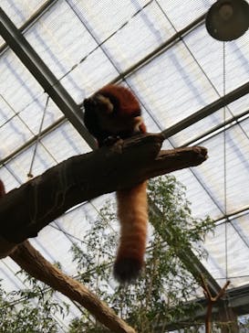 神戸どうぶつ王国に投稿された画像（2021/9/23）