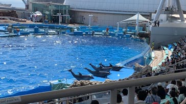 名古屋港水族館に投稿された画像（2021/9/23）