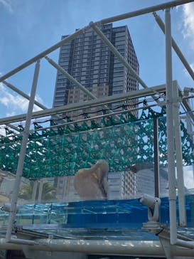 サンシャイン水族館に投稿された画像（2021/9/23）