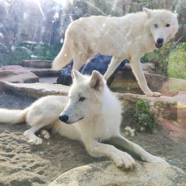 那須どうぶつ王国に投稿された画像（2021/9/23）