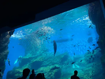 仙台うみの杜水族館に投稿された画像（2021/9/23）
