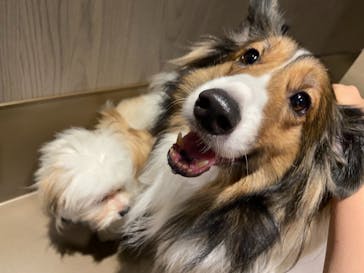 Moff animal world MARK IS みなとみらい店に投稿された画像（2021/9/23）