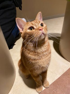 Moff animal world MARK IS みなとみらい店に投稿された画像（2021/9/23）