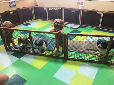 ひらかたパークに投稿された画像（2021/9/23）