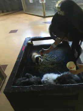 ひらかたパークに投稿された画像（2021/9/23）