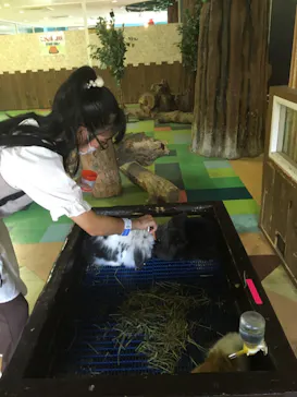 ひらかたパークに投稿された画像（2021/9/23）