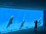 名古屋港水族館に投稿された画像（2021/9/23）