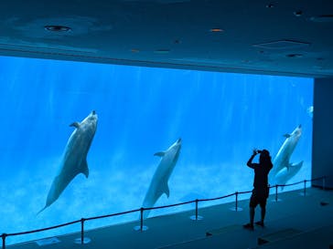 名古屋港水族館に投稿された画像（2021/9/23）