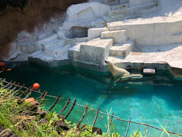 天王寺動物園に投稿された画像（2021/9/23）