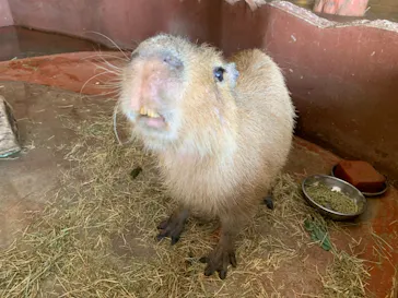 ひらかたパークに投稿された画像（2021/9/23）