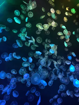 すみだ水族館に投稿された画像（2021/9/23）