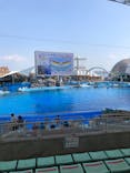 名古屋港水族館に投稿された画像（2021/9/23）