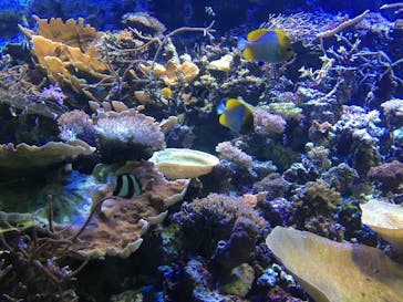 名古屋港水族館に投稿された画像（2021/9/23）