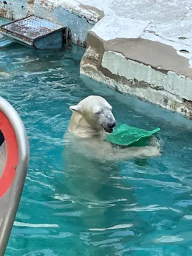 天王寺動物園に投稿された画像（2021/9/23）