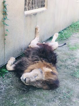 東武動物公園に投稿された画像（2021/9/23）