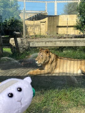 東武動物公園に投稿された画像（2021/9/23）