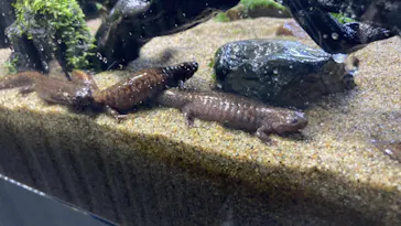 すみだ水族館に投稿された画像（2021/9/23）