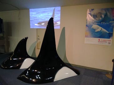 名古屋港水族館に投稿された画像（2021/9/23）