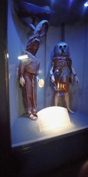 名古屋港水族館に投稿された画像（2021/9/23）