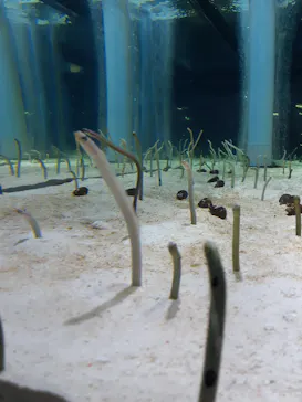 すみだ水族館に投稿された画像（2021/9/23）