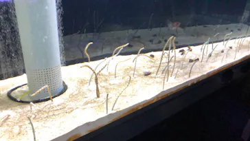 すみだ水族館に投稿された画像（2021/9/23）