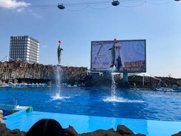 名古屋港水族館に投稿された画像（2021/9/23）