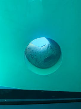 しながわ水族館に投稿された画像（2021/9/23）