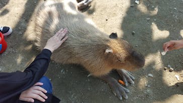 しろとり動物園に投稿された画像（2021/9/23）