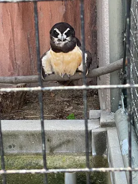 天王寺動物園に投稿された画像（2021/9/23）